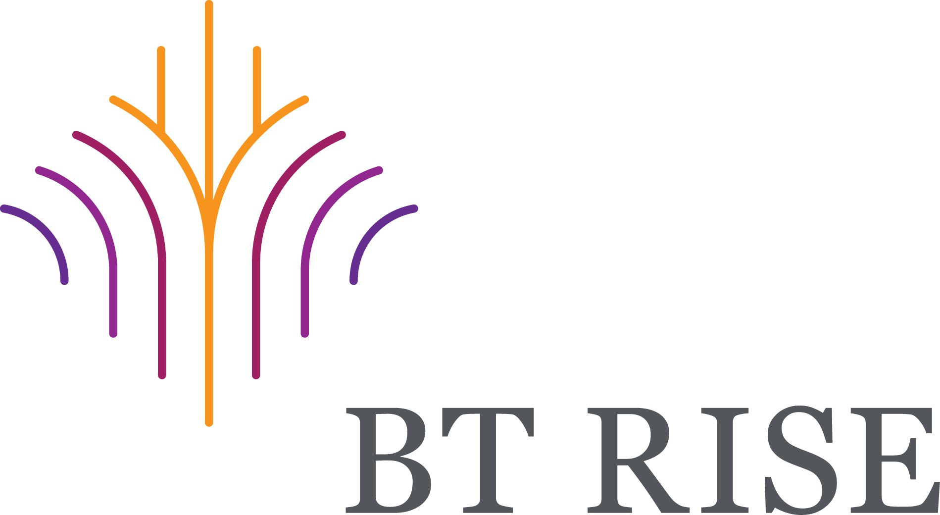 btrise.jpg